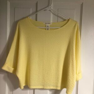 Caution To The Wind Sunny oversized cropped fit Knit Top NWOT never worn.